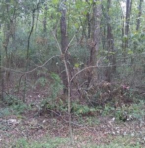 Meet your Posher, Ray